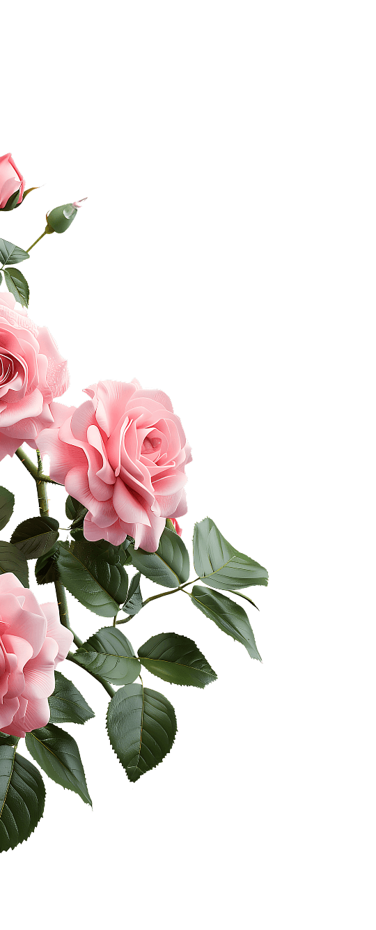 Róża po lewej stronie