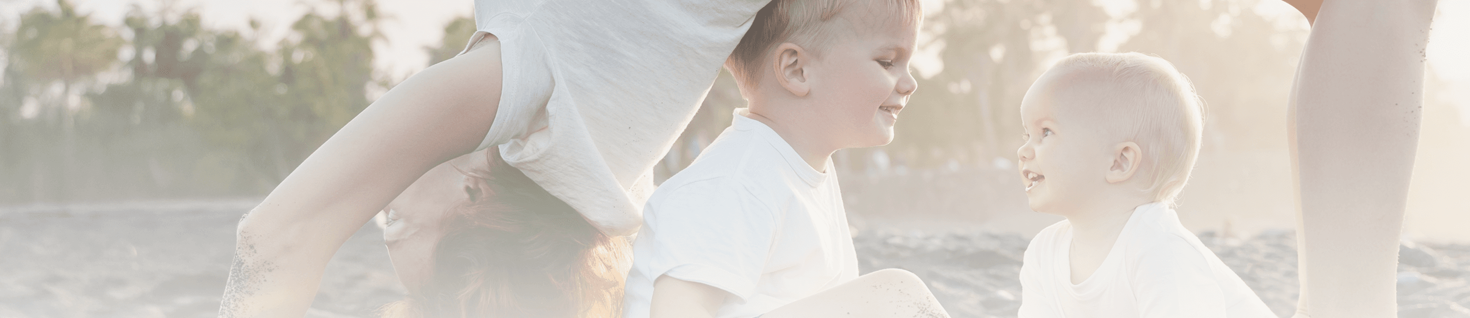 Zdjęcie górne - Galeria